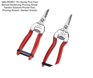 WALFRONT 1Pc Sturdy Fruit Tree Bonsai Gardening Pruning Shear Garden Scissors Pruner Tool, Pruning Scissor, Garden Scissor