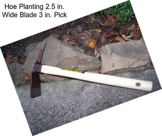 Hoe Planting 2.5 in. Wide Blade 3 in. Pick