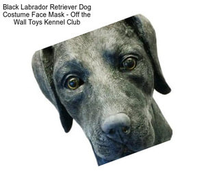 Black Labrador Retriever Dog Costume Face Mask - Off the Wall Toys Kennel Club