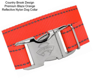 Country Brook Design Premium Blaze Orange Reflective Nylon Dog Collar