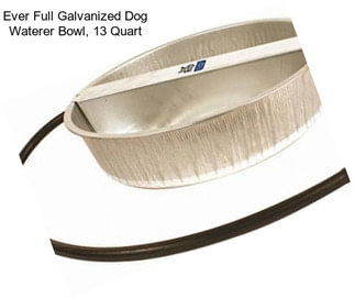 Ever Full Galvanized Dog Waterer Bowl, 13 Quart