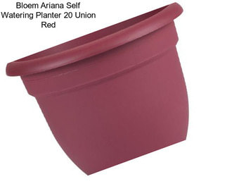 Bloem Ariana Self Watering Planter 20\