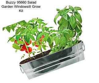 Buzzy 95660 Salad Garden Windowsill Grow Kit