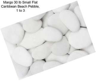 Margo 30 lb Small Flat Caribbean Beach Pebble, 1\