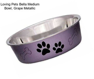 Loving Pets Bella Medium Bowl, Grape Metallic