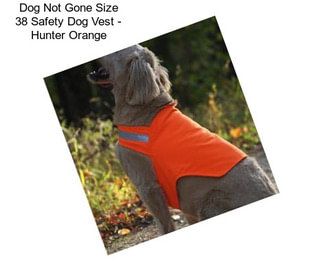 Dog Not Gone Size 38 Safety Dog Vest - Hunter Orange