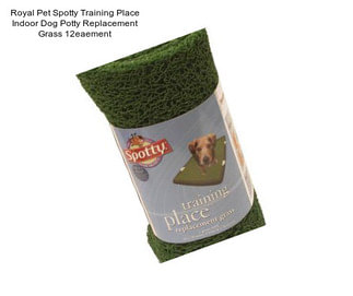 Royal Pet Spotty Training Place Indoor Dog Potty Replacement Grass 12eaement