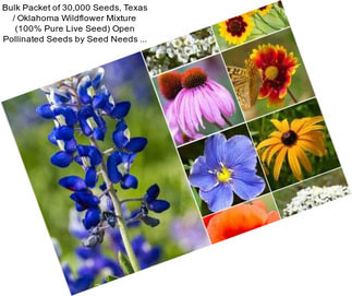 Bulk Packet of 30,000 Seeds, Texas / Oklahoma Wildflower Mixture (100% Pure Live Seed) Open Pollinated Seeds by Seed Needs ...