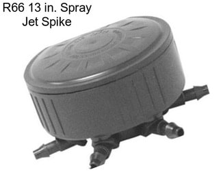 R66 13 in. Spray Jet Spike