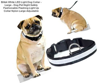 Biltek White LED Light Dog Collar - Large - Dog Pet Night Safety Fashionable Flashing Light Up Collar Nylon Large Adjustable