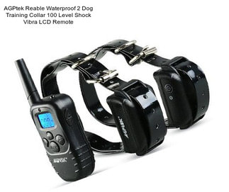 AGPtek Reable Waterproof 2 Dog Training Collar 100 Level Shock Vibra LCD Remote