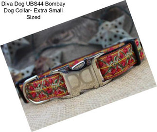 Diva Dog UBS44 Bombay Dog Collar- Extra Small Sized