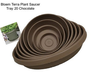 Bloem Terra Plant Saucer Tray 20\