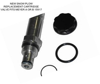 NEW SNOW PLOW REPLACEMENT CARTRIDGE VALVE FITS MEYER A OR B 15917