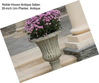 Noble House Antique Italian 26-inch Urn Planter, Antique
