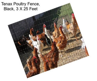 Tenax Poultry Fence, Black, 3 X 25 Feet