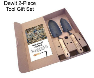 Dewit 2-Piece Tool Gift Set