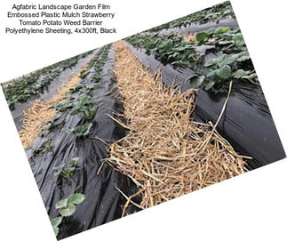 Agfabric Landscape Garden Film Embossed Plastic Mulch Strawberry Tomato Potato Weed Barrier Polyethylene Sheeting, 4x300ft, Black