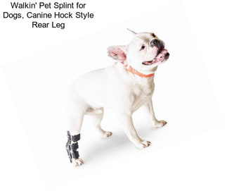 Walkin\' Pet Splint for Dogs, Canine Hock Style Rear Leg