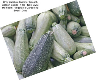 Grey Zucchini Summer Squash Garden Seeds - 1 Oz - Non-GMO, Heirloom - Vegetable Gardening Seed - Gray