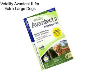 Vetality Avantect II for Extra Large Dogs