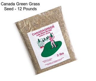 Canada Green Grass Seed - 12 Pounds