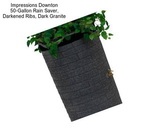 Impressions Downton 50-Gallon Rain Saver, Darkened Ribs, Dark Granite