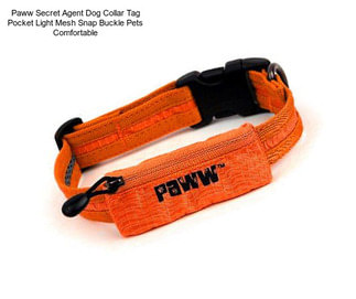 Paww Secret Agent Dog Collar Tag Pocket Light Mesh Snap Buckle Pets Comfortable