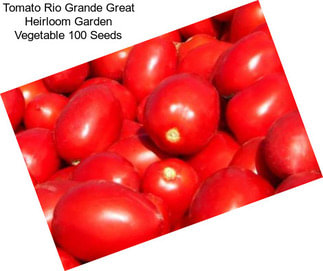 Tomato Rio Grande Great Heirloom Garden Vegetable 100 Seeds