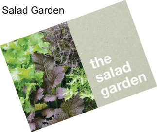 Salad Garden