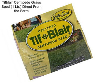 Tifblair Centipede Grass Seed (1 Lb.) Direct From the Farm