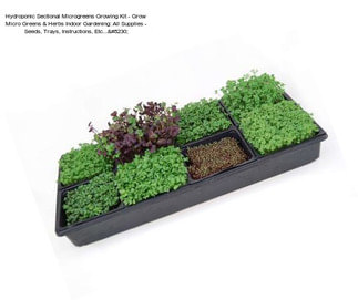 Hydroponic Sectional Microgreens Growing Kit - Grow Micro Greens & Herbs Indoor Gardening: All Supplies - Seeds, Trays, Instructions, Etc...…