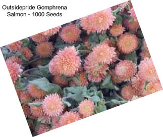 Outsidepride Gomphrena Salmon - 1000 Seeds