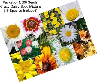 Packet of 1,500 Seeds, Crazy Daisy Seed Mixture (16 Species Included)