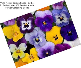 Viola Flower Garden Seeds - Sorbet F1 Series - Mix - 100 Seeds - Annual Flower Gardening Seeds