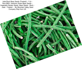 Jade Bush Bean Seeds (Treated) - 1 Lb - Non-GMO, Heirloom Green Bean Seeds - Vegetable Garden Seeds, Bean Seeds - Bush - Jade - Treated .., By Mountain Valley Seed Company Ship from US