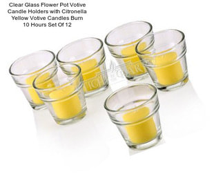 Clear Glass Flower Pot Votive Candle Holders with Citronella Yellow Votive Candles Burn 10 Hours Set Of 12
