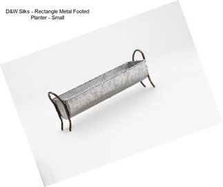 D&W Silks - Rectangle Metal Footed Planter - Small