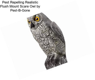 Pest Repelling Realistic Flush Mount Scare Owl by Pest-B-Gone