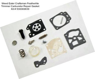 Weed Eater Craftsman Featherlite Trimmer Carburetor Repair Gasket Kit # 530069839