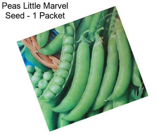 Peas Little Marvel Seed - 1 Packet