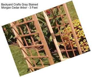 Backyard Crafts Gray Stained Morgan Cedar Arbor - 3 Feet