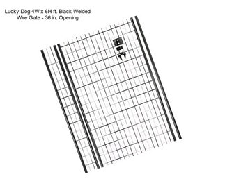 Lucky Dog 4W x 6H ft. Black Welded Wire Gate - 36 in. Opening