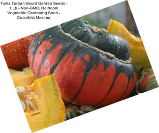 Turks Turban Gourd Garden Seeds - 1 Lb - Non-GMO, Heirloom Vegetable Gardening Seed - Cucurbita Maxima