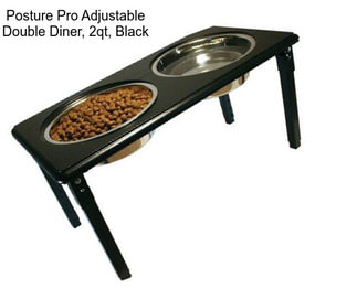 Posture Pro Adjustable Double Diner, 2qt, Black