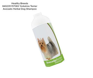 Healthy Breeds 840235157083 Yorkshire Terrier Avocado Herbal Dog Shampoo