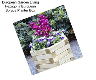 European Garden Living Hexagona European Spruce Planter Box