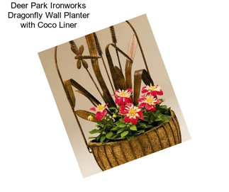 Deer Park Ironworks Dragonfly Wall Planter with Coco Liner