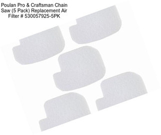 Poulan Pro & Craftsman Chain Saw (5 Pack) Replacement Air Filter # 530057925-5PK