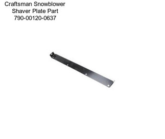 Craftsman Snowblower Shaver Plate Part 790-00120-0637